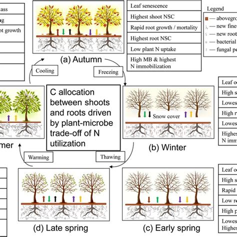 Conceptual Model Showing Seasonal Cycle Of Plant Microbe Interactions