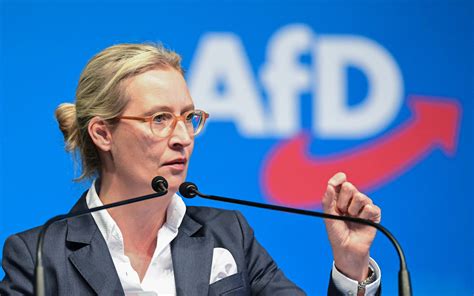 Afd Chefin Weidel Will Regierungsbeteiligung In L Ndern