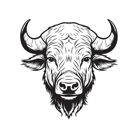 Buffalo Head Vector Art Icons And Graphics 38567760 Vector Art At