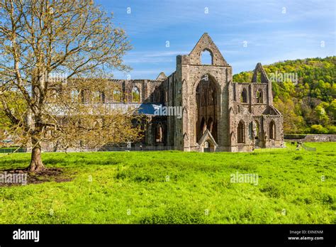 The Ruins Of Tintern Abbey A Medieval Cistercian Monastery