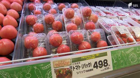 わずか2か月で450円値上がりトマトが“経験したことない”高値に 異例の暑さで不良相次ぎ 生産者も「もう限界」 Tbs News Dig