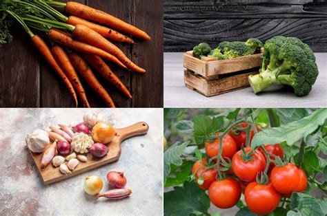 Verduras Que Puedes Cultivar En Casa Durante Todo El A O