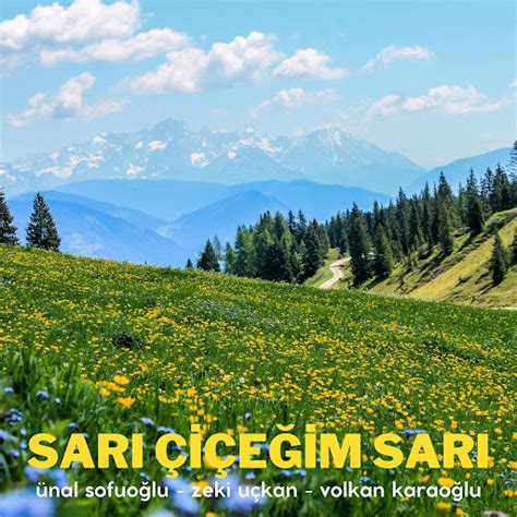 Sar I E Im Sar Feat Zeki U Kan Volkan Karao Lu Youtube Music