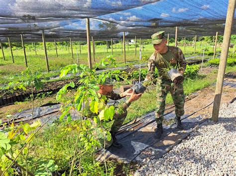 Cuarta Divisi N Del Ej Rcito Nacional On Twitter Colombia Siembra