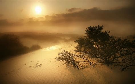 Wallpaper Sunlight Landscape Sunset Nature Sand Reflection Sky