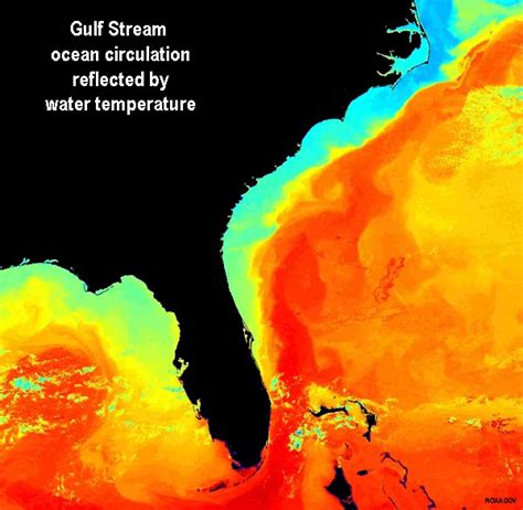 9.8: The Gulf Stream and the Antarctic Circumpolar Currents ...