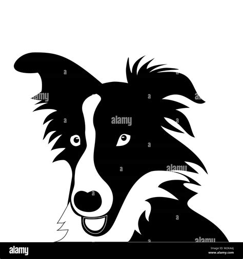 Silhouette Of Funny Playful Little Black And White Puppy Border Collie