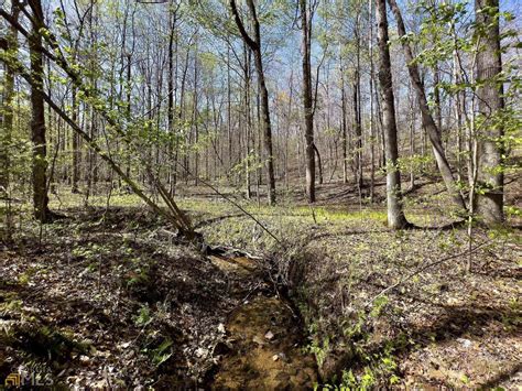 Banks county qpublic data reveals a sudden shift in property assessments 5