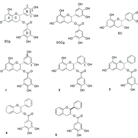 Structures Of − Epicatechin Gallate Ecg − Epigallocatechin