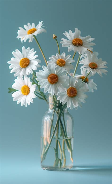 Elegant Simplicity Daisies In A Glass Vase In 2024 Abstract Flower