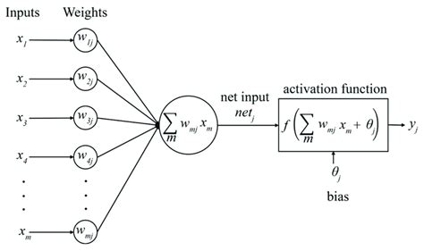 The Basic Network Structure Of Multi Layer Perceptron Mlp Download Scientific Diagram