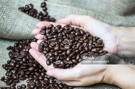 Woman Hand Holding Coffee Beans Stock Photo Download Image Now