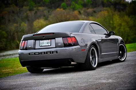 63+ New 2003 Mustang Cobra Terminator Wallpaper - Best Interior Car