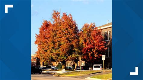 Your Photos: Fall foliage Northwest Arkansas & River Valley ...