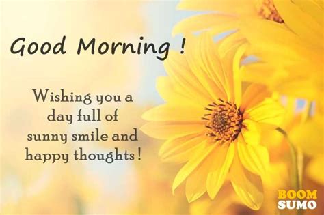 Good Morning Quotes Awesome Day Full Of Sunny Smile And Happy Thoughts Boom Sumo