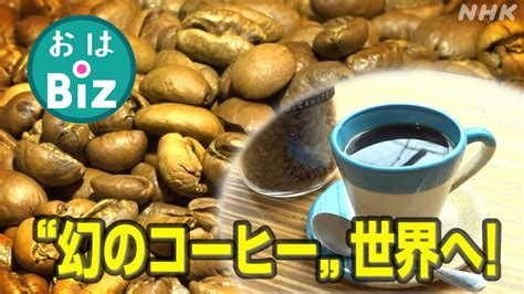 幻のコーヒー「バラコ」を世界へ 輸出拡大めざすフィリピン｜おはbiz｜おはよう日本｜nhk