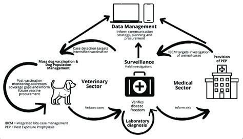 Illustration of One Health scheme for rabies prevention and control... | Download Scientific Diagram