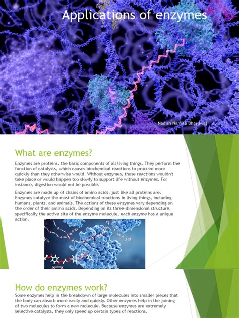 Applications of Enzymes | PDF | Enzyme | Active Site