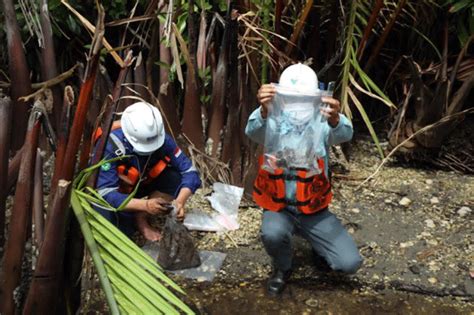 Buktikan Tak Tercemar Dlh Lutim Ambil Sampel Tanah Dan Air Pulau Mori