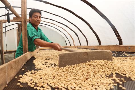 Prociencia Aprueba Proyecto Para El Dise O Y Construcci N De Secadores