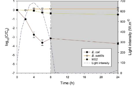 Inactivation Of E Coli B Subtilis And Ms On Pavement Under Natural