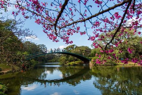 Amanda Monteiro On Instagram Parque Ibiraquera Ibira