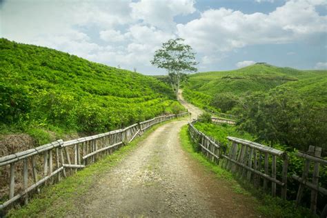 Malino Highlands Di Sulawesi Selatan Harga Tiket Jam Buka Rute Dan