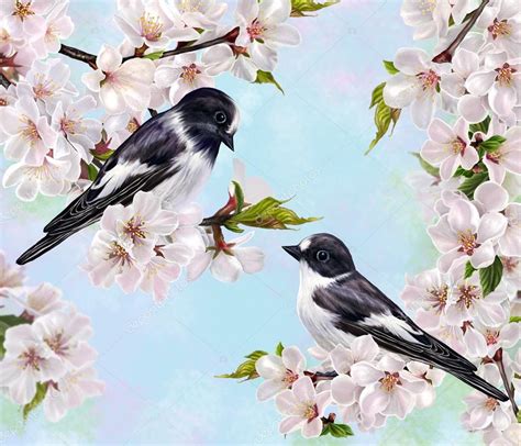 Two Small Black And White Bird On A Branch Of Cherry Blossoms Stock