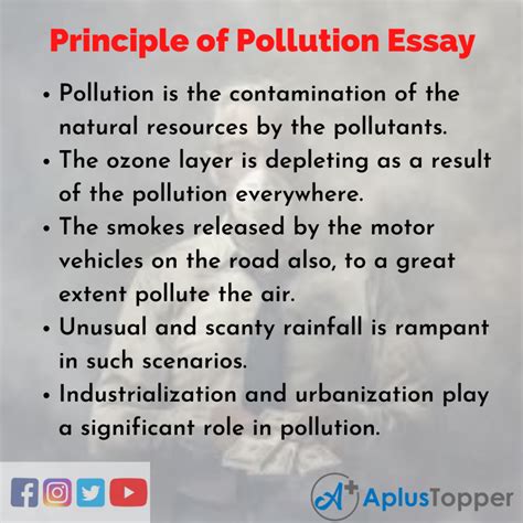 Principle Of Pollution Essay Essay On Principle Of Pollution For