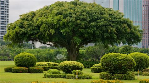 Haikou Travel Guide | Haikou Tourism - KAYAK