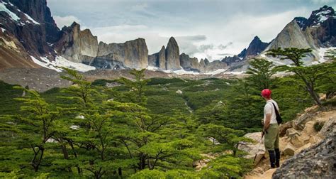 7 Days W Trekk Discovering Torres Del Paine National Park By Signature Tours With 11 Tour