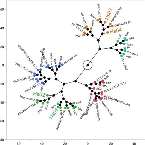 Constellation Plot Of The Dendrogram Obtained From Hca Categorizes