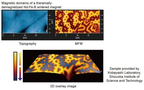 Magnetic Force Microscope Mfm Hitachi High Technologies Global