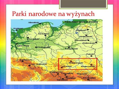 Jakie są parki narodowe wyżyn Polskich Brainly pl