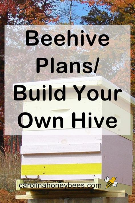 Beehive Plans: Where to Find Good Ones- Carolina Honeybees | Bee hive, Bee hive plans, Backyard bee