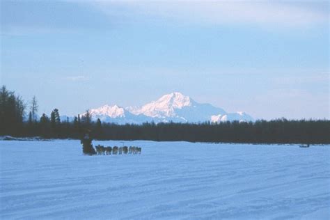 Iditarod 2001