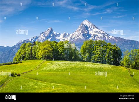Bavarian Forest Nati Hi Res Stock Photography And Images Alamy