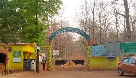 Best Jungle Safari In India Ticket Timings Location