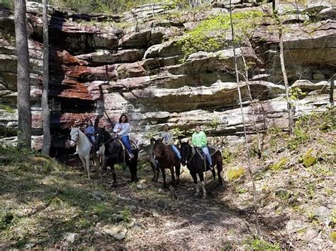 Experience The Thrill Of Ziplining With Adventures Of Mammoth Cave In