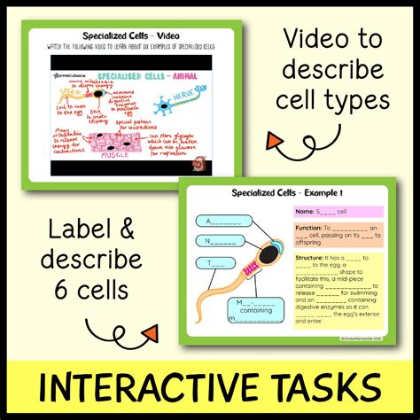 Specialized Cells Google Slides Emmatheteachie