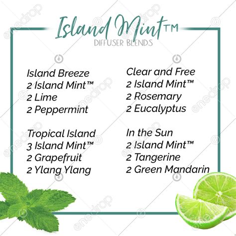 Island Mint Diffuser Blends By Amy Wheeler