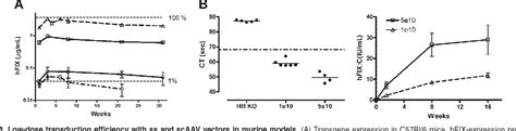 Figure From Self Complementary Adeno Associated Virus Vectors