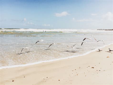 Banco De Imagens De Praia Mar Costa Areia Oceano Onda Material