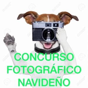 Concurso Fotogr Fico Navide O Gavetex Veterinaria