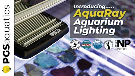 Introducing Aquaray Led Aquarium Lighting Youtube