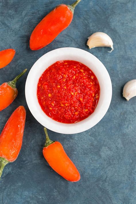 Hot Sauce Recipes Chili Pepper Madness