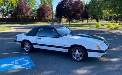 Svo Predecessor 1984 Ford Mustang Gt Turbo Barn Finds