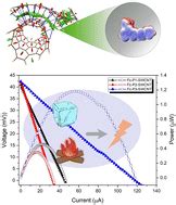 Ferrocene Modified Polymer Swcnt Composite Films For High Performance