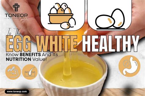 Is The Egg White Healthy? Know Benefits And Its Nutrition Value!