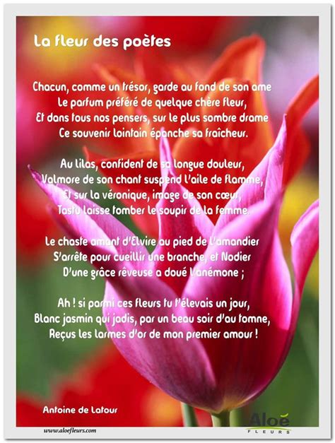 les poèmes en fleurs Poeme fleur Poeme sur la nature Citations pour